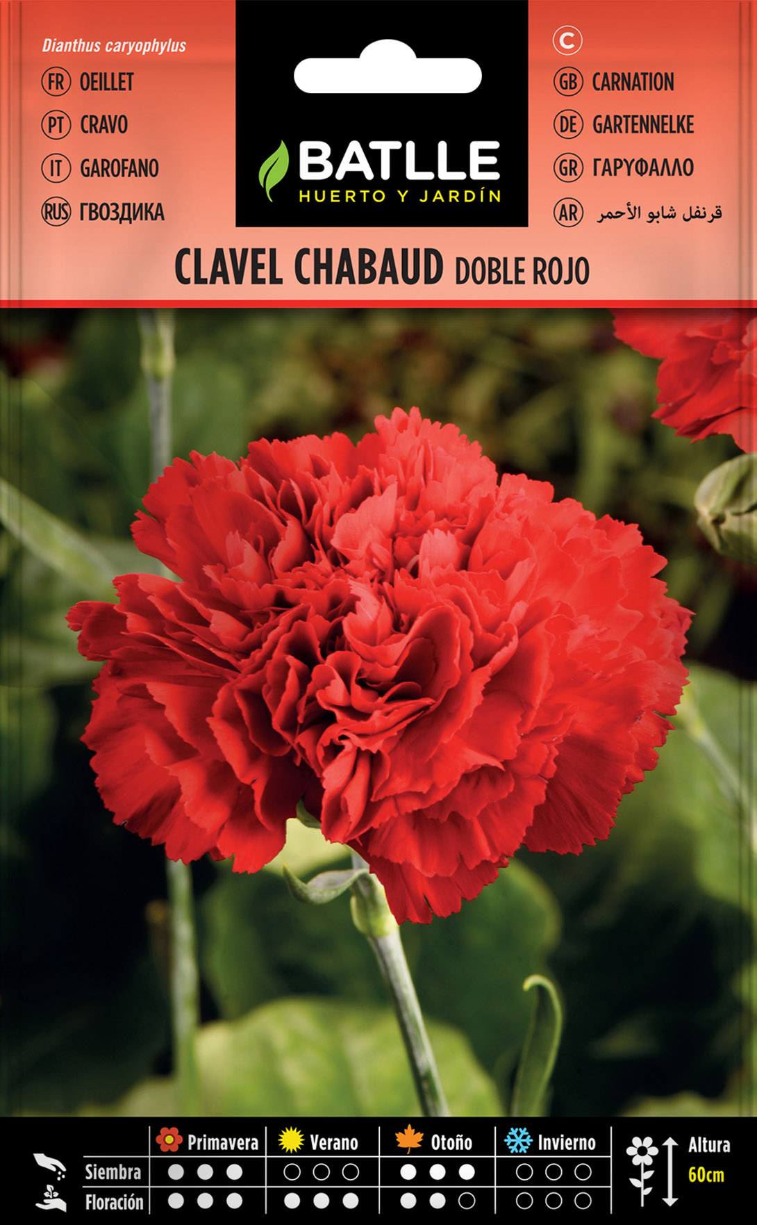 Clavel Chabaud Doble rojo - Fitopal