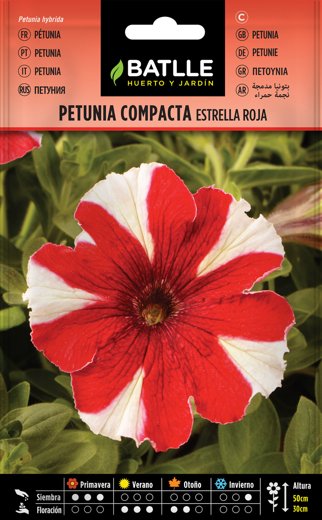 Petunia Compacta Estrella Roja - Semillas Flores - Fitopal